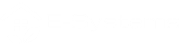 E-Systems